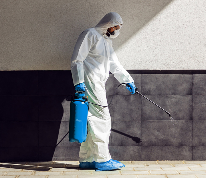 專(zhuān)業(yè)除蟲(chóng)消毒公司