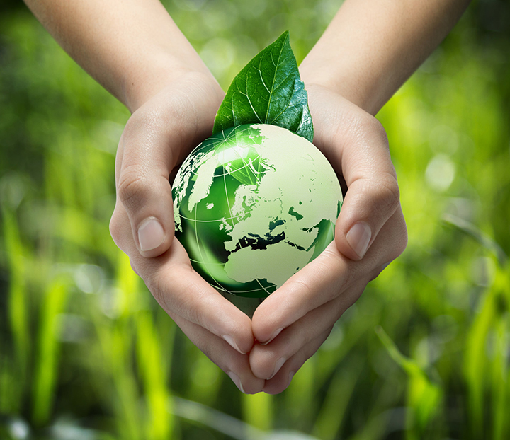 專(zhuān)業(yè)除蟲(chóng)消毒公司