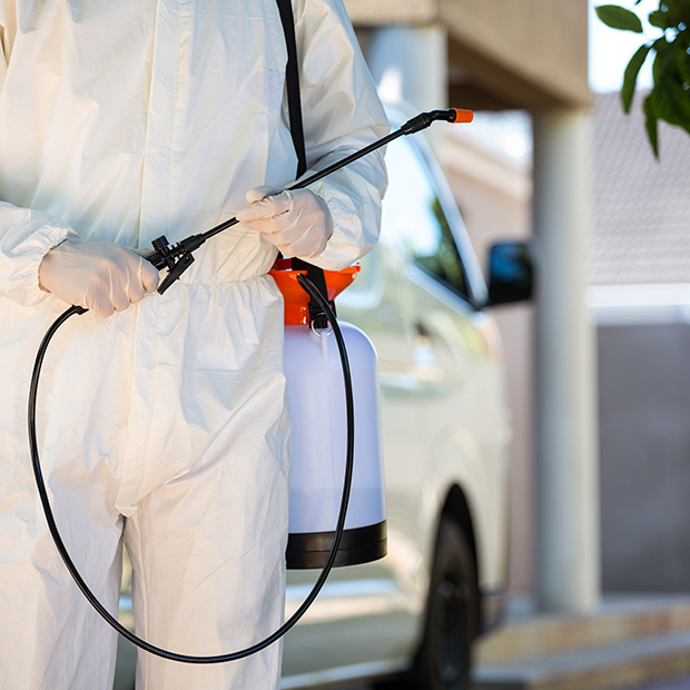 專業(yè)消毒滅菌公司